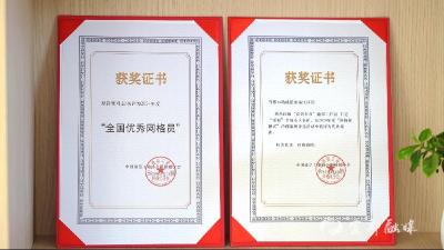 小网格大作为 全国网格化治理优秀案例背后的“宜都实践”