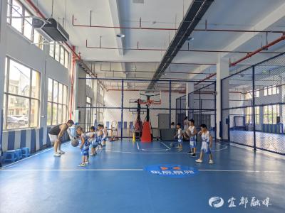 物流园里“篮”不住的活力