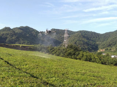 数字农业+社会化服务 解锁乡村发展“新密码”