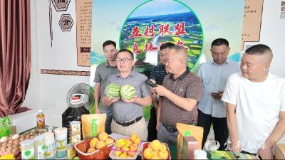 五村书记直播带货“燃爆”夏夜 枝城党委“搭台”唱响致富经