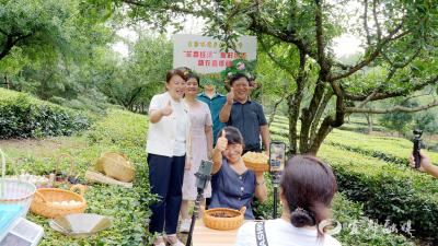 王家畈镇三村联盟直播带货 打造助农增收“云”销路