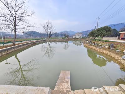 宜都用水权改革让堰塘“流金淌银”