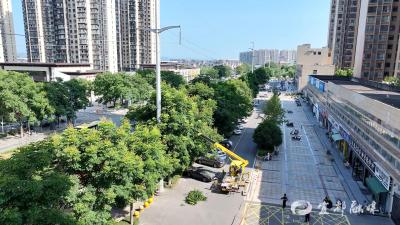 110千伏临全线树障清理工作完成
