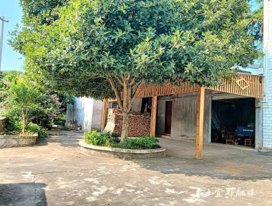 小院“变形记”