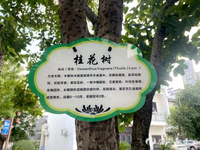 看！这个社区有 “绿色老师”