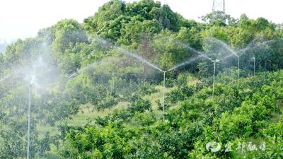 水肥一体化系统助力柑橘种植节本增收