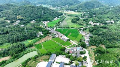 宜都：科技赋能田间地头 无人机护航水稻丰产