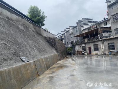 12天，荒地“逆袭”记