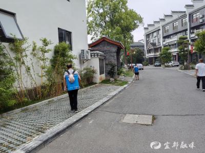 蚊虫消杀，筑牢夏日健康防线