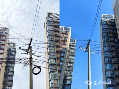 家门口的幸福事！宜都这些地方变样了