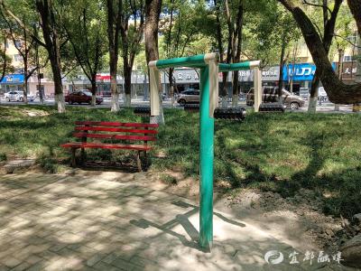 这里来了运动“新伙伴”