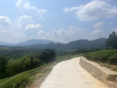 今年首个！移民后扶项目为泉水垱村“通”了致富路