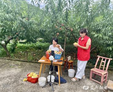 他们，云端托起“黄金桃”