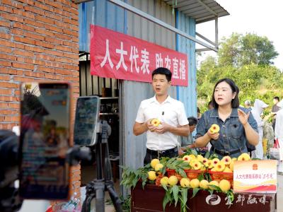 代表履职在一线 人大代表“5号见”架起产销桥