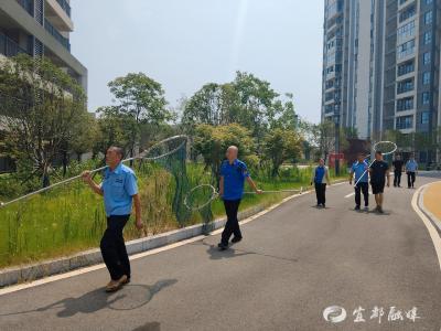 这里，文明养犬整治小队上线！