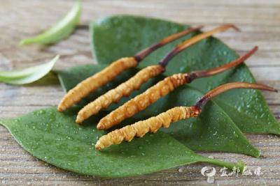年产2.4亿根！宜昌崛起全球最大工厂