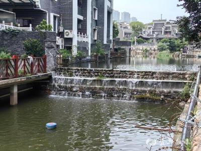 清水入湖 昔日美景回来了！