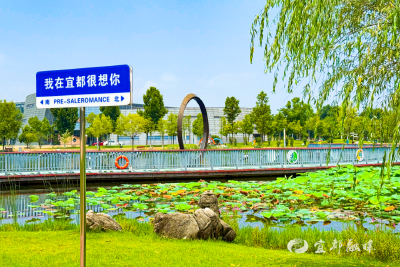 宜都，太有“感觉”了！