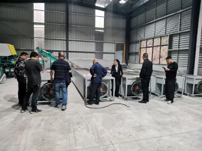 村企携手，60万资金“种”出“黄金茶”！