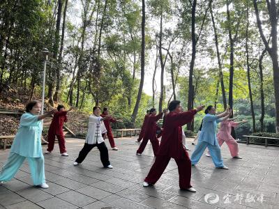 “拳”力以赴，相约金秋