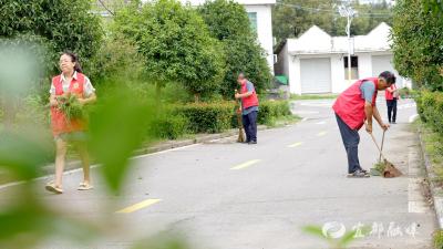 “清洁家园”行动绘就城乡洁净新画卷