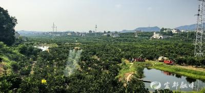 无人机“慧”种地 飞防服务到田间