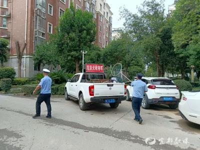锦江社区开展流浪狗综合治理