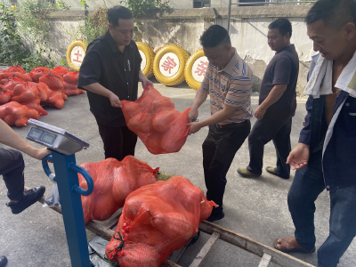 巧用撂荒地  “土疙瘩”变“金疙瘩”