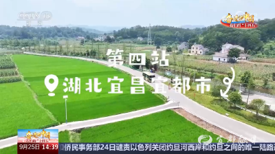 昨天，宜都两次登上央视！