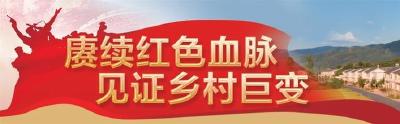 【三峡日报】将军故里绘就共富新画卷