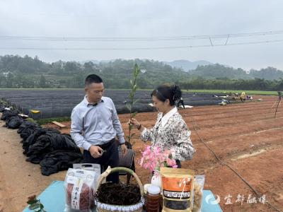 凝聚新力量 赋能新乡村