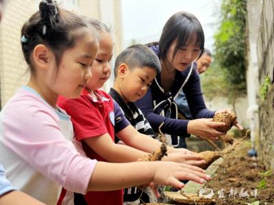 田间“挖”出成长课