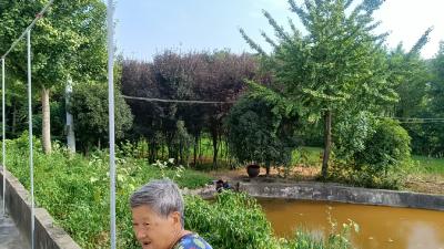 七旬老人滑入堰塘！他用行动定格“最美救人瞬间”