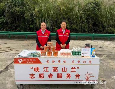 【湖北日报】宜都北收费站：​护航半马 畅行桔乡