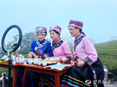 潘家湾“村村联播”首秀拉开助农新序幕