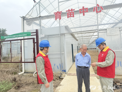 电力“问诊”进大棚 护航育苗好“丰”光
