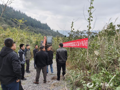 宜都市森林补植项目在松乐山林场正式启动
