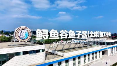 宜都鲟鱼谷鱼子酱（全球）加工中心投产试运行