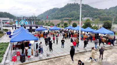 王家畈镇首届抖音助农直播带货大赛开赛