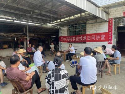 老橘园结“金果”！宜都80后农人靠三招实现