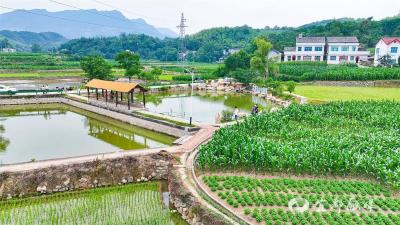 【湖北日报】定分止争 闲塘生金 宜都“三权分置”激活沉睡堰塘