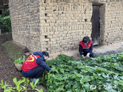 “峡江高山兰”温暖留守翁媪