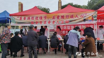 【网络中国节·重阳】赏菊品茗，共赴温暖重阳