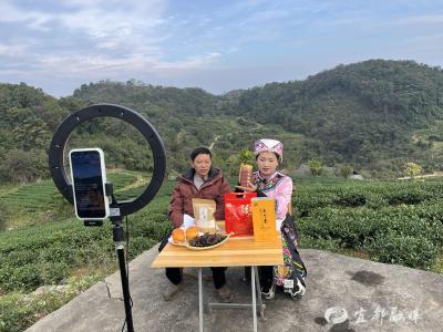 这里，云端带逛茶园……