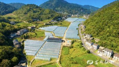 聂家河镇山上片区以“333”模式探索产业发展新路径