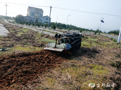 遥控旋耕机“上岗” 科技赋能橘园管护