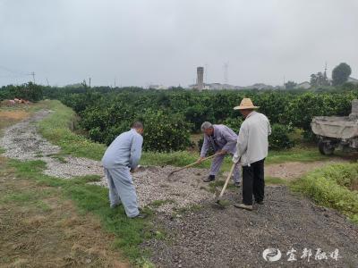 丰收季修通“安心路”