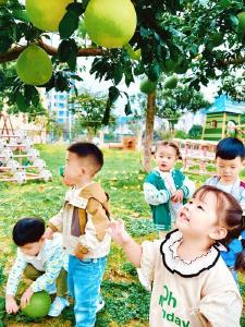 莲花堰幼儿园：“果”然是你，非常“柚”趣