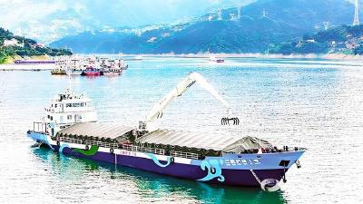 【荆楚网】逐“绿”向“智” 新质澎湃 湖北绿色智能船舶产业奋楫扬帆