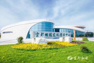 宜都公路惊艳全国，获评 “十大最美农村路”